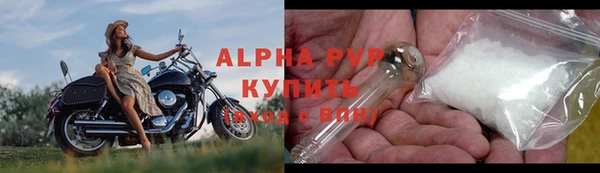 шишки Новодвинск