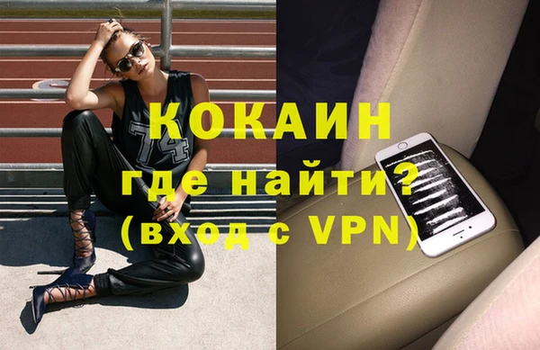 шишки Новодвинск