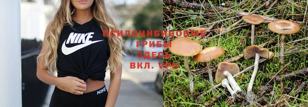 крисы Абинск